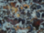 4340  200X.jpg
