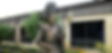 com_involv_header_2.jpg