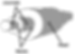 5_5_B-head.png