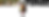 SF_T_Logo.png