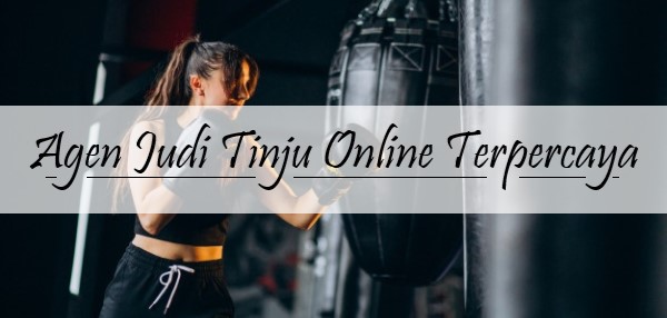 Agen Judi Tinju Online Terpercaya